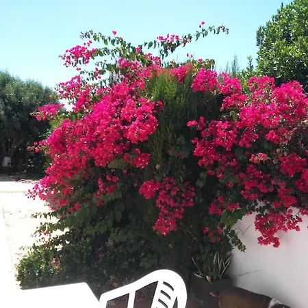 بيت للعطل Casa Susana *